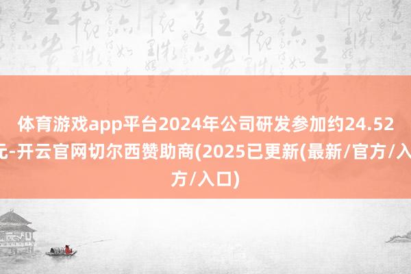 体育游戏app平台2024年公司研发参加约24.52亿元-开云官网切尔西赞助商(2025已更新(最新/官方/入口)