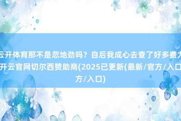 云开体育那不是忽地劲吗？自后我成心去查了好多费力-开云官网切尔西赞助商(2025已更新(最新/官方/入口)