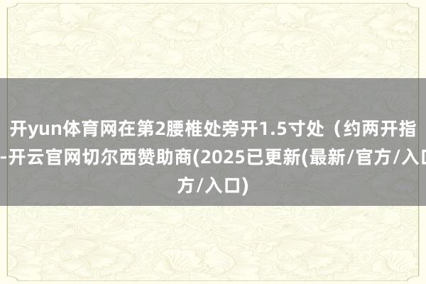 开yun体育网在第2腰椎处旁开1.5寸处（约两开指）-开云官网切尔西赞助商(2025已更新(最新/官方/入口)