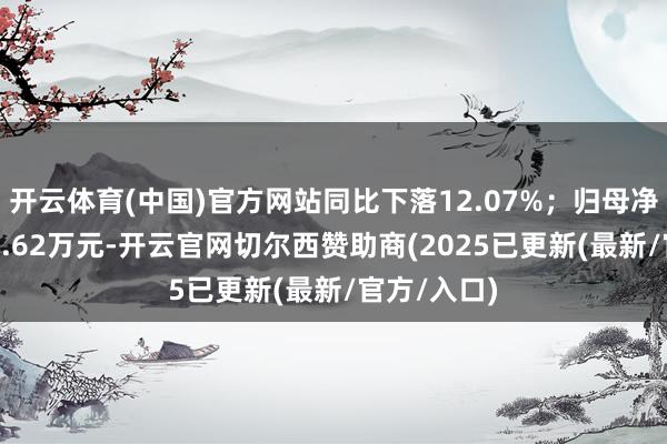 开云体育(中国)官方网站同比下落12.07%；归母净利润为-94.62万元-开云官网切尔西赞助商(2025已更新(最新/官方/入口)