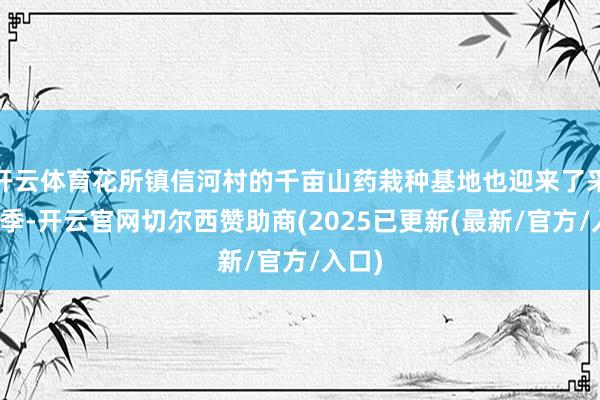 开云体育花所镇信河村的千亩山药栽种基地也迎来了采收旺季-开云官网切尔西赞助商(2025已更新(最新/官方/入口)