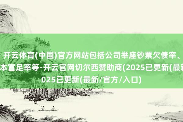 开云体育(中国)官方网站包括公司举座钞票欠债率、流动性以及成本富足率等-开云官网切尔西赞助商(2025已更新(最新/官方/入口)