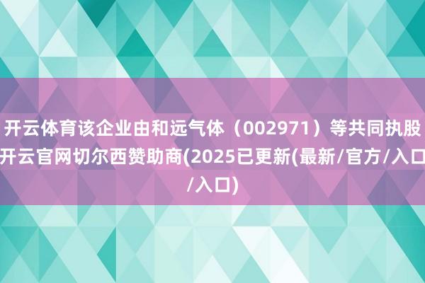 开云体育该企业由和远气体(002971)等共同执股-开云官网切尔西赞助商(2025已更新(最新/官方/入口)
