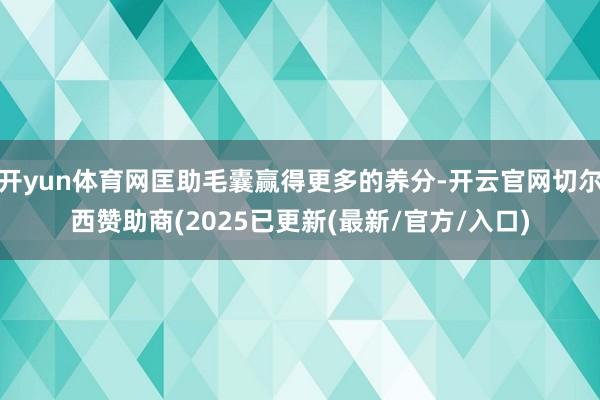 开yun体育网匡助毛囊赢得更多的养分-开云官网切尔西赞助商(2025已更新(最新/官方/入口)